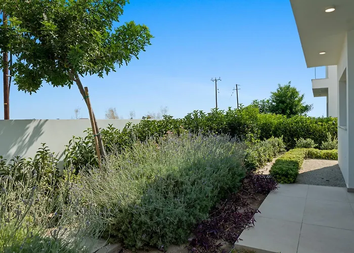 Serenity Waves 26 别墅